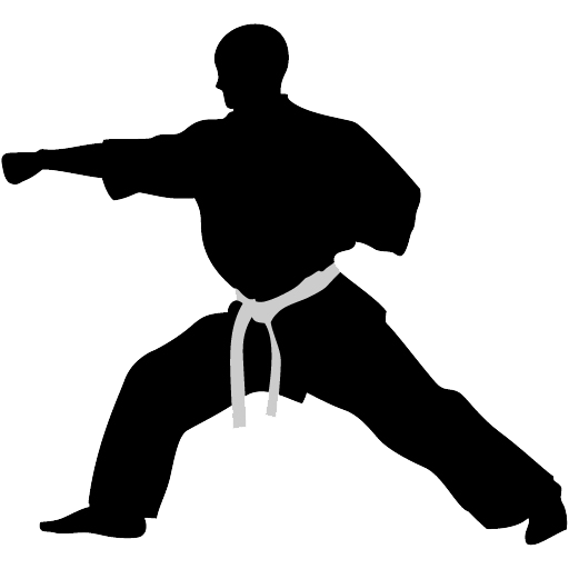 Karate Punch Icon Rothrock S Kung Fu Tai Chi