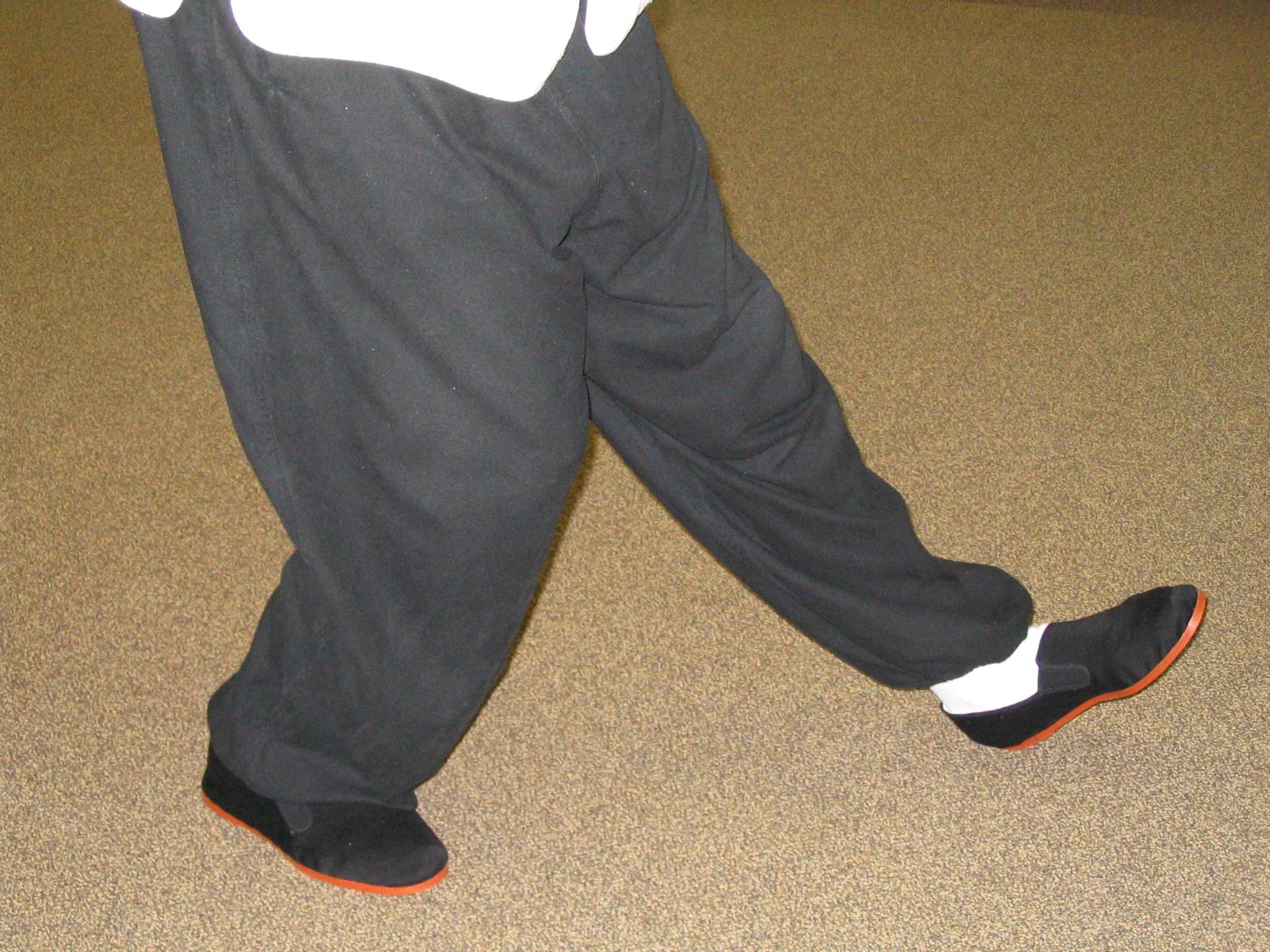 Tai Chi 015 Kung Fu, Karate, Martial Arts, Self Defense, Kickboxing